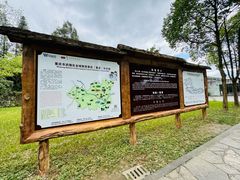 -龙水峡地缝景区
