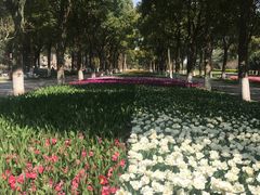 -上海鲜花港