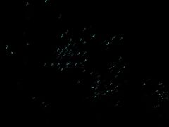 -怀托摩萤火虫洞