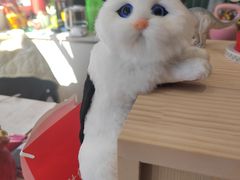 -何适山庄 ·可团建(水长城P2停车场店)