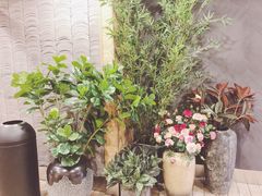 -唐沫茶兮(仓山万达金街店)