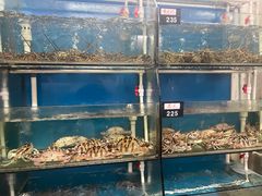 -钱山海鲜大排档