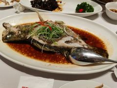 -新吉士·上海菜(浦东LCM置汇旭辉店)