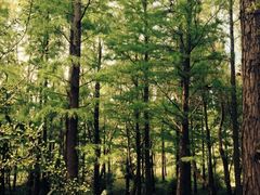 iphone_upload_pic-新江湾城公园