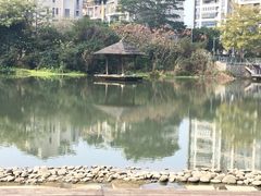 -金山公园