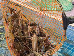 -粤西稻里(富力路店)