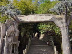 -王顺山国家森林公园