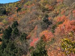 -香山公园