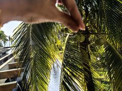 -亚龙湾喜来登·美景台大堂吧