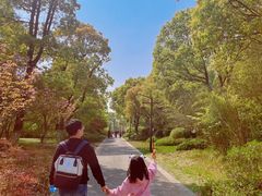-苏州太湖国家湿地公园
