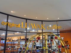 -巴厘岛黄金金兔咖啡工厂