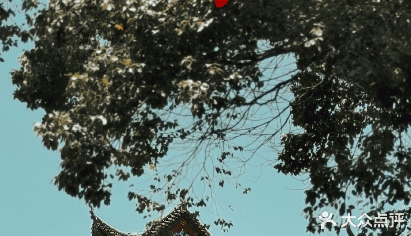 武汉免费小众景点，这江景真的绝了！