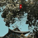 武汉免费小众景点，这江景真的绝了！