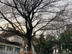-东关历史文化旅游区-东门遗址