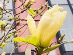 -北京第二实验小学