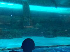 -波塞冬旅游度假区