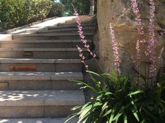 -天目湖涵田半山温泉