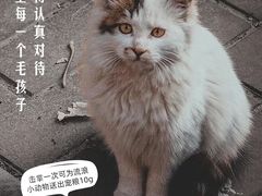 -万达广场(渭南高新店)