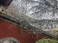 -西安市广仁寺