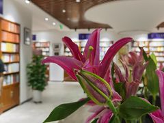 -尔雅书店(太原金广大厦店)