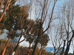 -天鹅湖体育公园