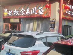 -新概念来凤鱼(璧山店)