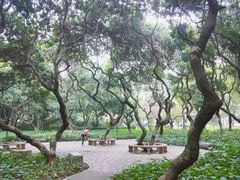 -黄埔荔枝公园