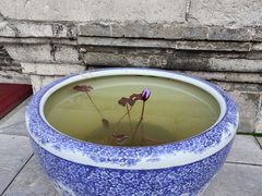 -西安市广仁寺