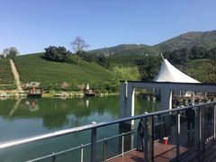 -帐篷客·溪龙茶谷度假酒店