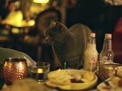 -OX BAR 拉培耶小镇(大连老街店)