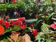 -三旗百汇商品城