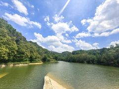 -中山市树木园