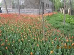 园区一角-长春公园(普阳街道)