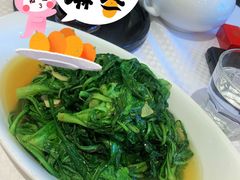 清炒茼蒿-双井轩(双井店)
