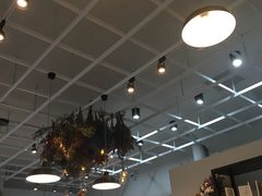 -六吋盘(安平店)