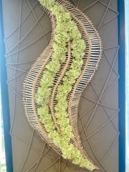 -青青一生美皮肤管理