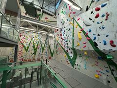 -绿壁虎攀岩基地(Tcar店)