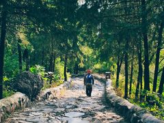 -阳台山自然风景区
