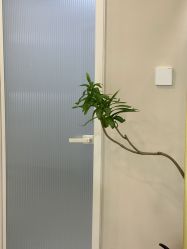 -四七美学·半永久纹眉