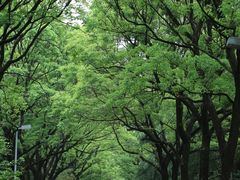 -白塘生态植物园