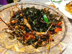 -有腥气私房菜·寻味顺德