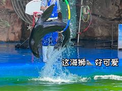 -灵玲国际马戏城