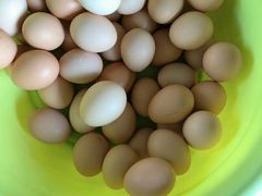 -马陆小张葡萄园农家乐