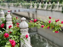 -斯多格书乡(北京大学畅春园店)