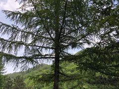 -秦岭风景区