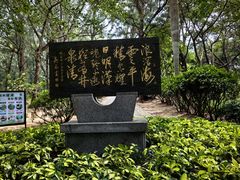 -宋井风景区
