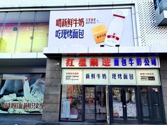 -红星前进面包牛奶公司(五道口购物中心店)