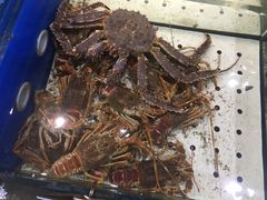 -海味当家·蒸锅海鲜(中山广场创始店)