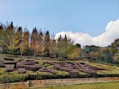 -昆明植物园