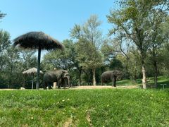 -北京野生动物园